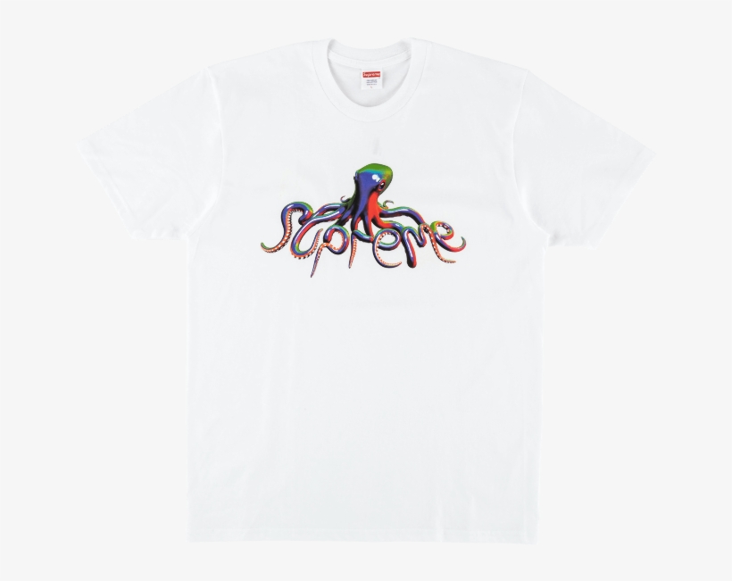 Octopus, transparent png