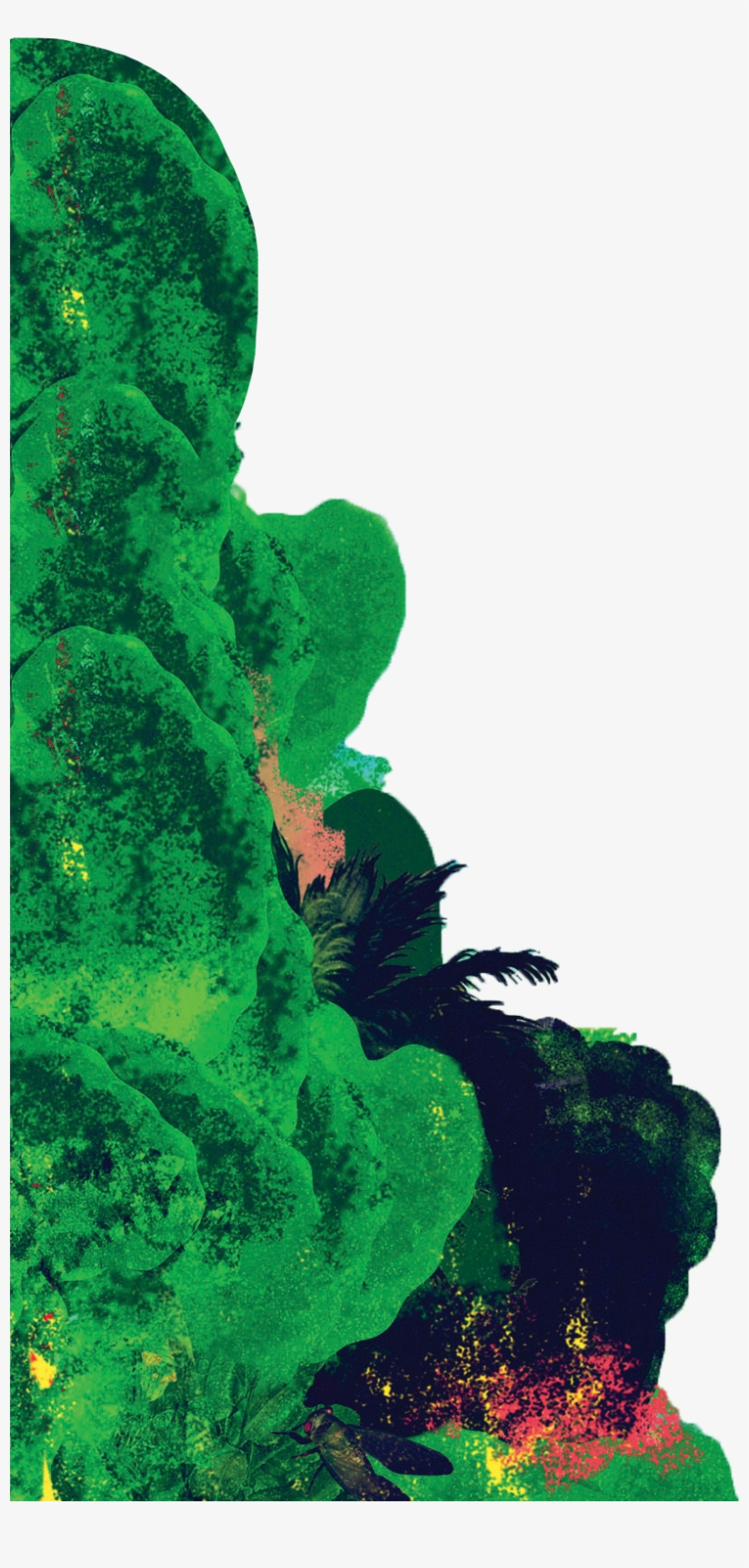 Meet The Band - Green Algae, transparent png