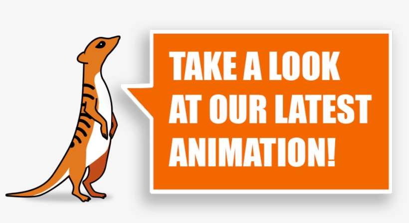 Meerkat Monitoring System - Destination Jeddah, transparent png