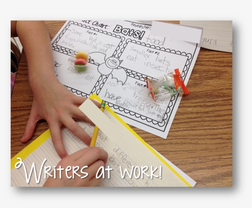 They Each Had A Krabby Patty Nearby To Keep Them Focused, transparent png