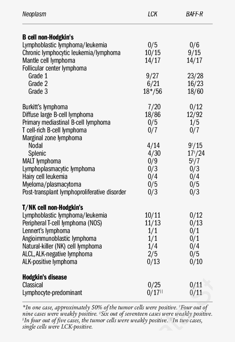 Immunostaining Of Lymphoma Samples For Lck And Baff- - Table 1, transparent png