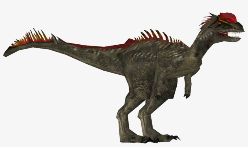 Dilophosaurus, transparent png