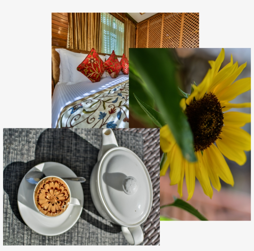 Relax In Our Resort - Sunflower, transparent png