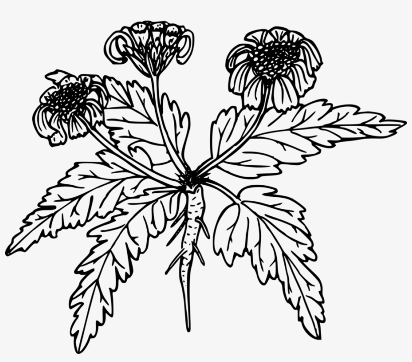 Monarch Butterfly Computer Icons Floral Design Flower - Clip Art, transparent png