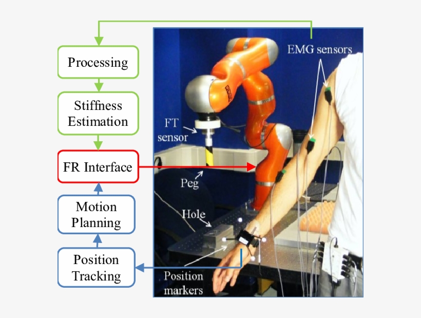 Kuka Light Weight Robotic Arm, Emg Electrodes, Peg, - Stairs, transparent png