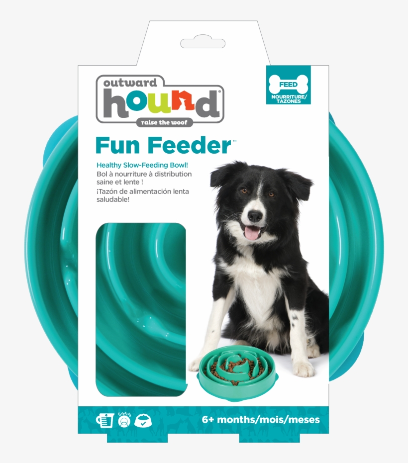 Dog Bowl Png, transparent png
