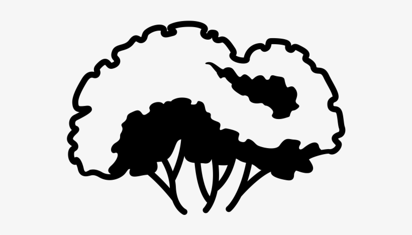 Pre Construction Consulting For Tree Protection Zones - Silhouette, transparent png