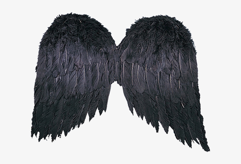 Фотки Black Angel Costume, Black Costume, Adult Halloween, - Angel Wings, transparent png
