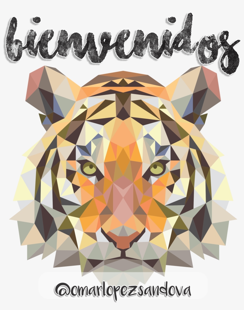 Curiosidades De Gun N - Adult Coloring Book: Stress Relieving Animal Designs:, transparent png