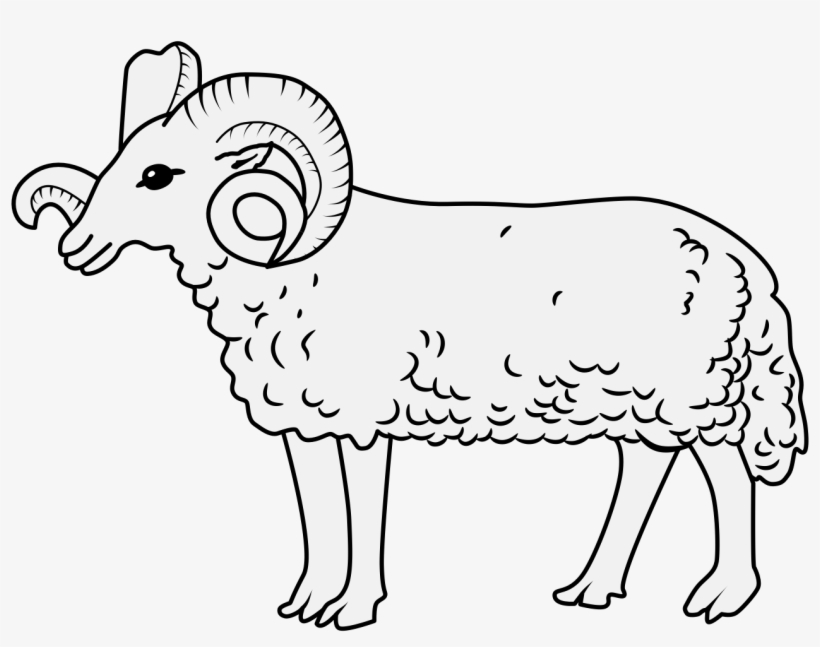 Details, Png - Roll Of Arms, transparent png