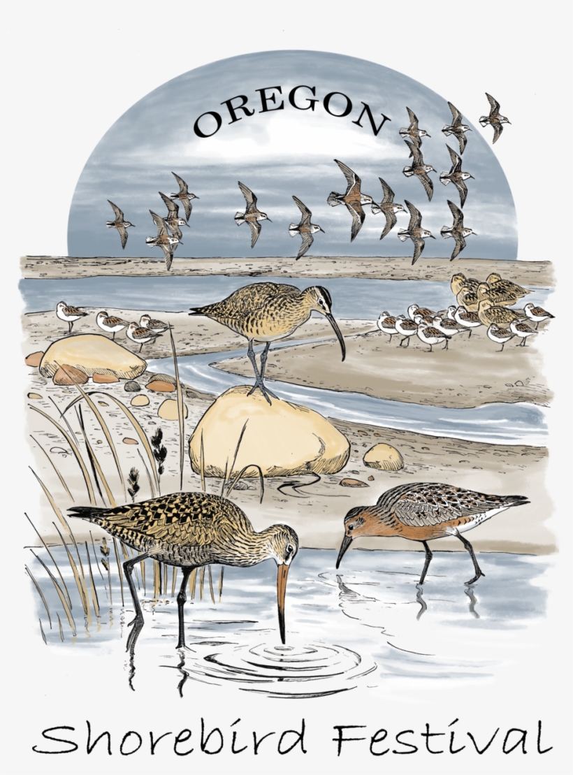Original 2018 Shorebird Festival T-shirt Design By - Oregon, transparent png