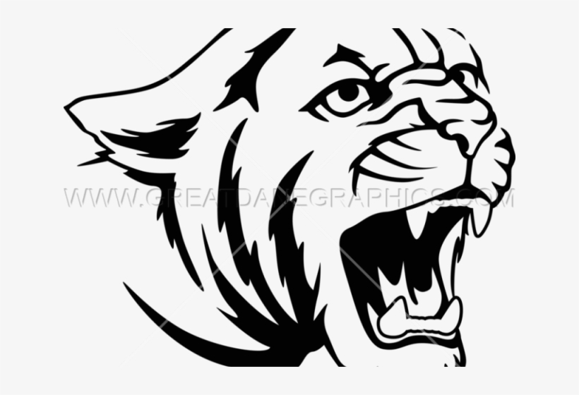 Roar Clipart Cougar - Cougar Drawing, transparent png