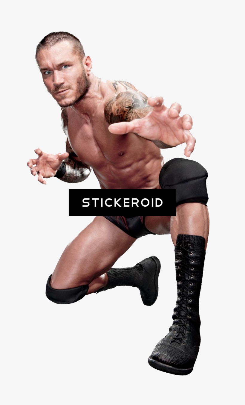 Randy Orton Wwe - Birthday Party Wwe Beverage Napkins, transparent png