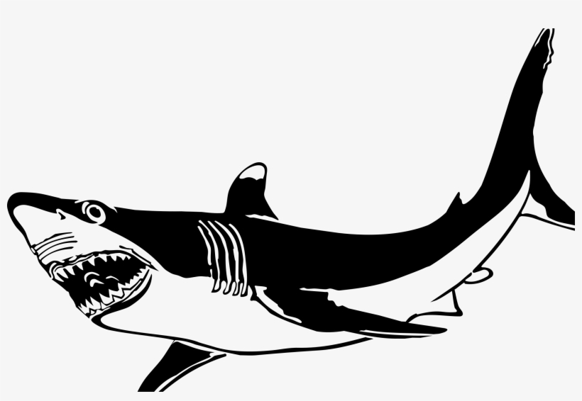 The Great White Shark By Picapica - Love Bites Shark With Heart Framed Print Poster Wall, transparent png