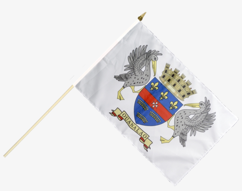 France Saint Barthélemy Hand Waving Flag - Saint Barthélemy, transparent png