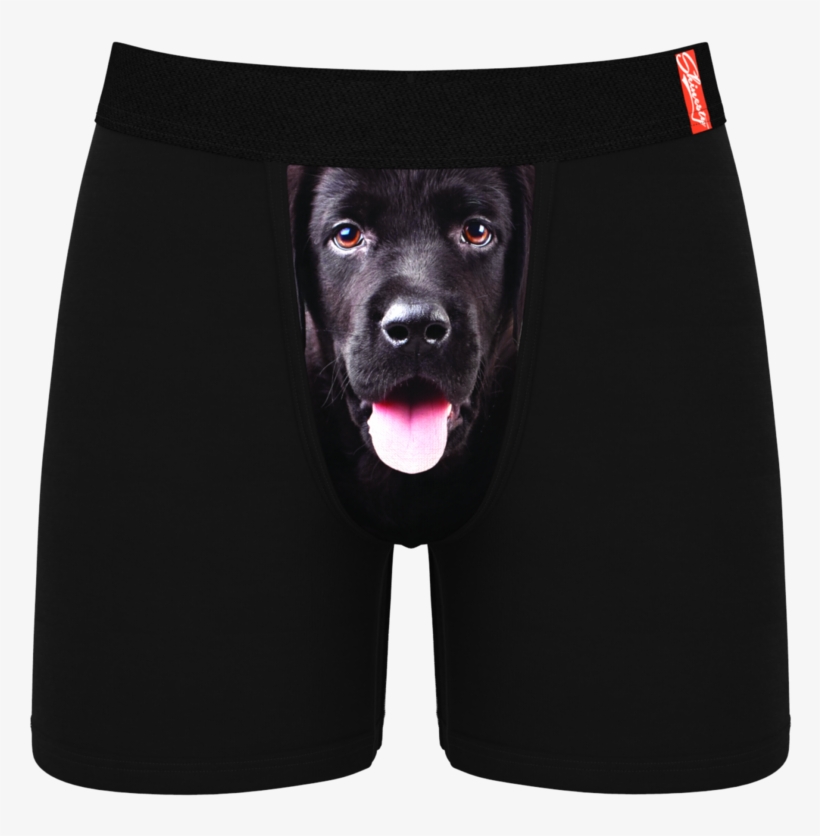 100 Facts Dogs Puppies By Camilla De La Bedoyere, transparent png