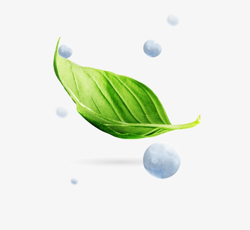 Mirai, Fuel Cell, Hydrogen, Plants - Fuel Cell, transparent png