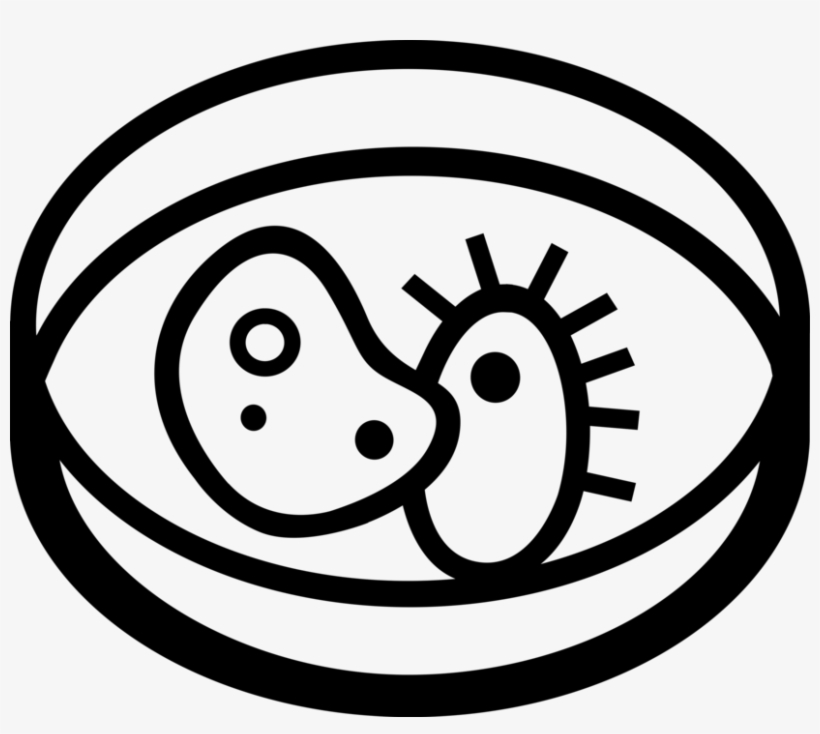 Vector Illustration Of Microbiology Microscopic Organisms - Microorganisms, transparent png