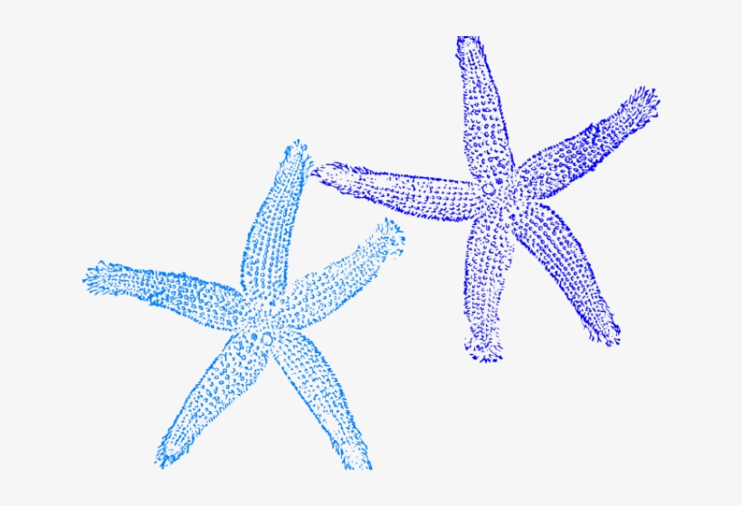 Blue Starfish Clip Art, transparent png