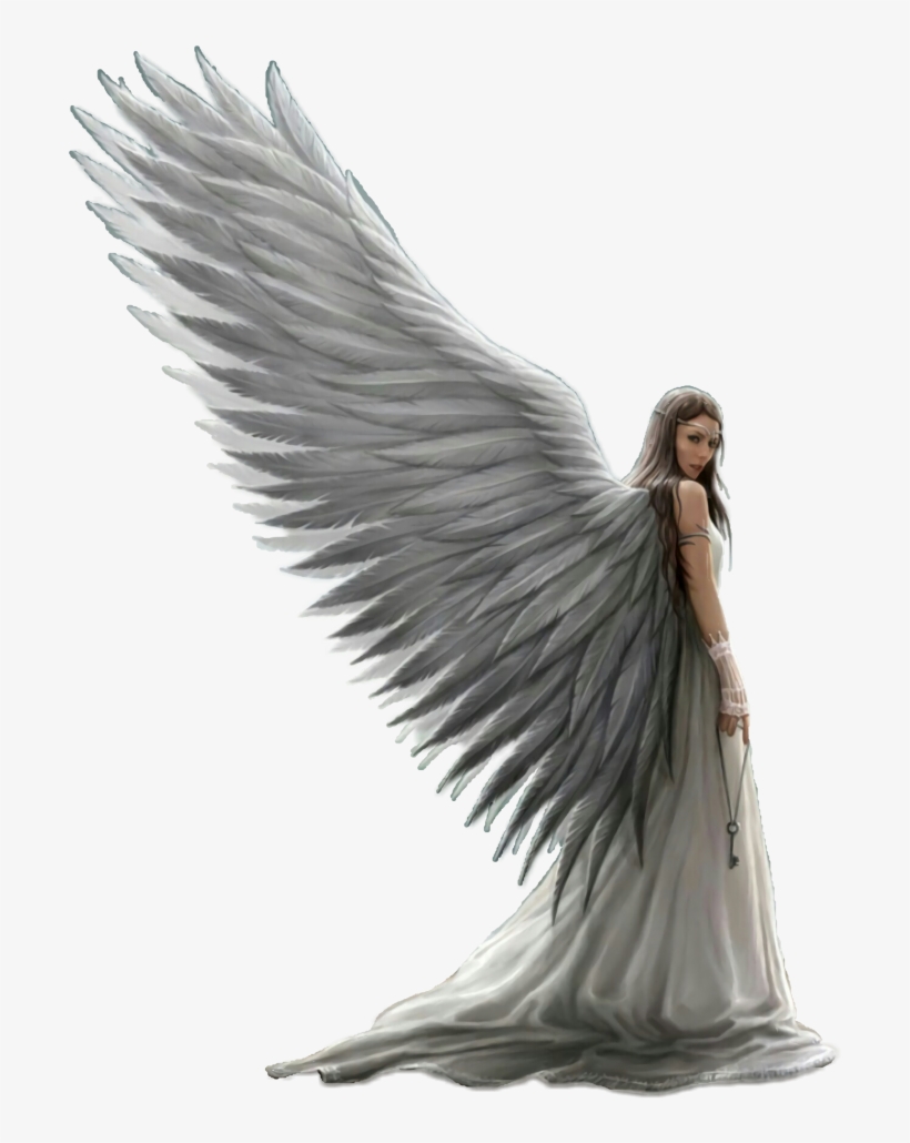 Arcangel Sinnester Beautiful Sharedstickers Enjoy - Anne Stokes Hd Angel, transparent png