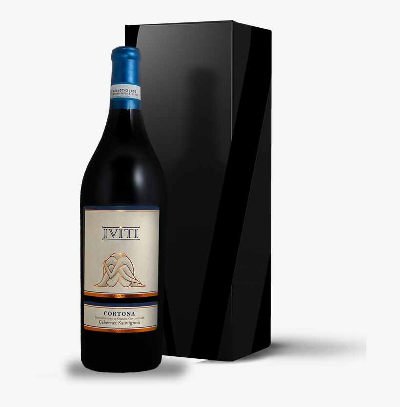 With The Terroir - Guinness, transparent png