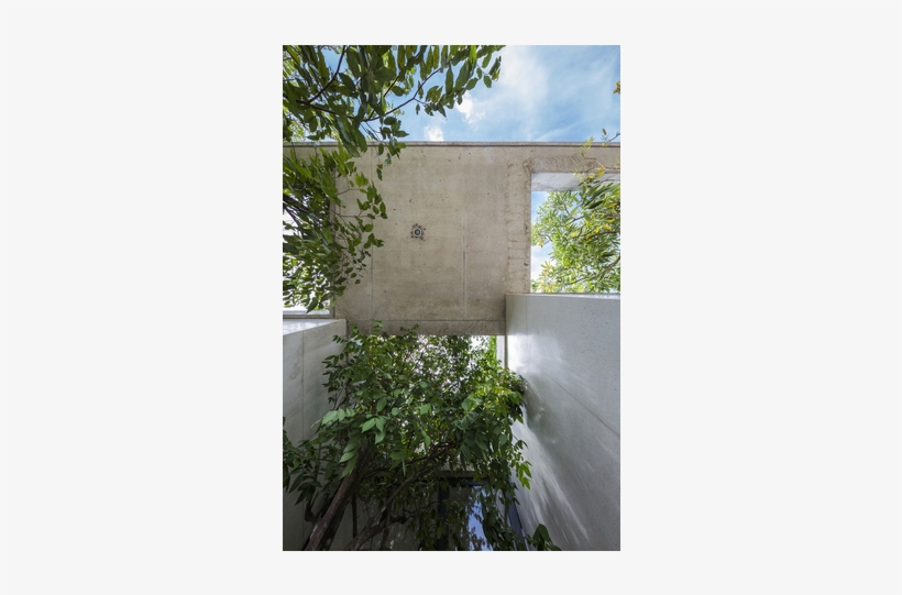 Planter Tree In Building, transparent png
