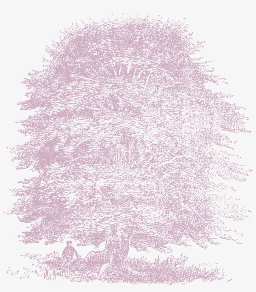 Linograph Green Tree - Tree, transparent png