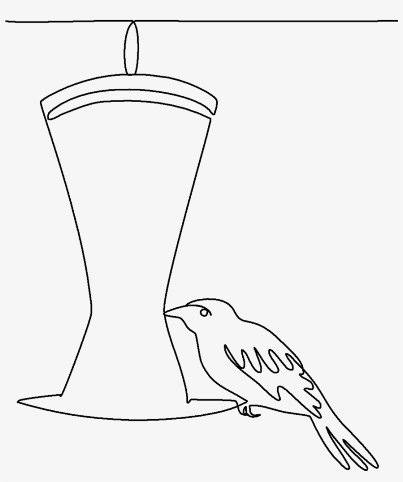 Jpg Black And White Stock At Getdrawings Com Free - Hummingbird, transparent png