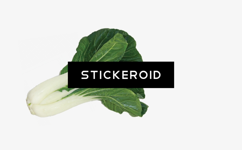Bok Choy Food - Chard, transparent png