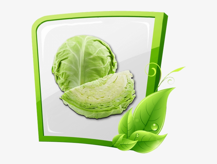 Our Product & Services - Cabbage, transparent png
