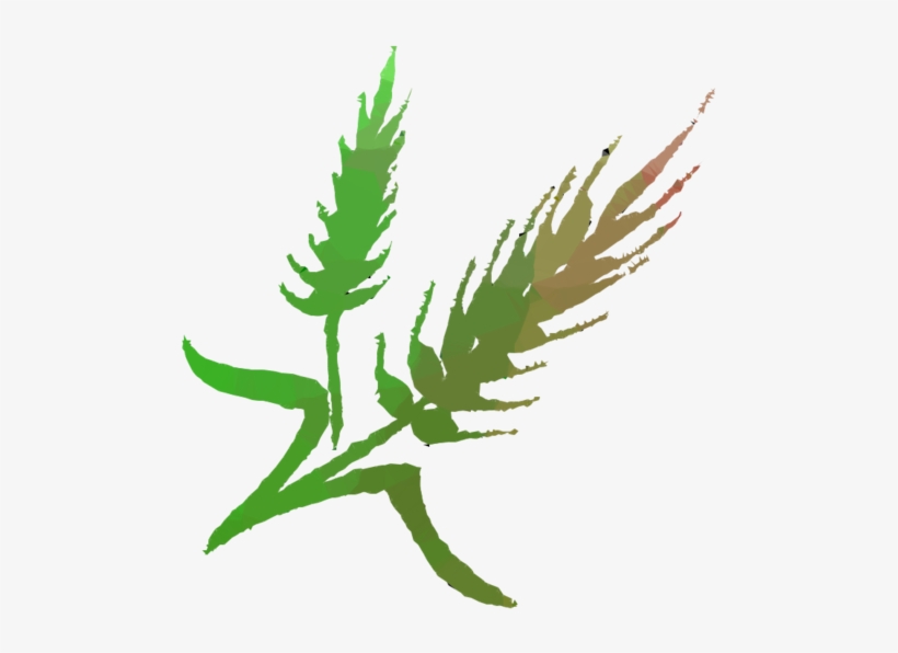 Leaf Clipart Leaf Plant Stem Hemp - Clip Art, transparent png