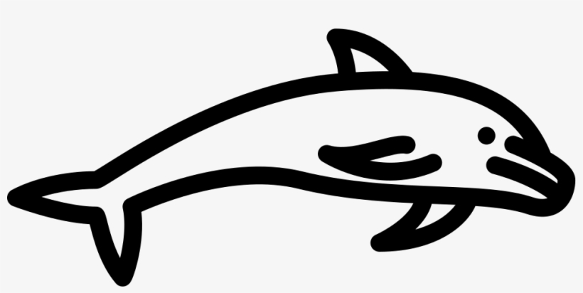 Dolphin Jumping Comments - Portable Network Graphics, transparent png