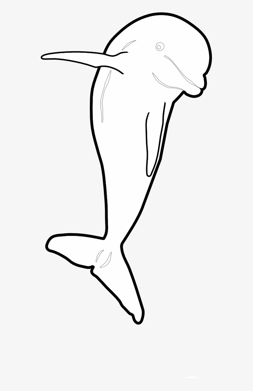Dolphin Jumping Front Nmmp Dolphin Black White Line - Dolphin, transparent png