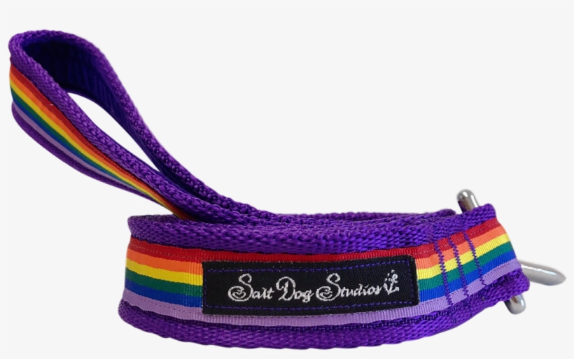 Purple Rainbow Ribbon Dog Lead - Dog, transparent png
