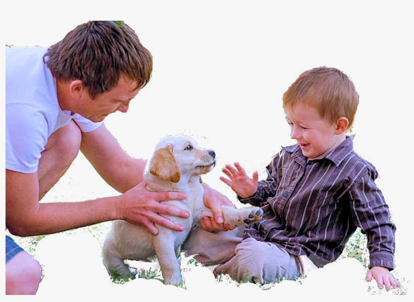 Puppy Biting Boy Hand - Toddler, transparent png
