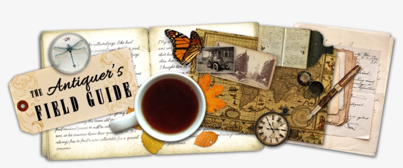 The Antiquer's Field Guide - Healing Cancer With The Power Of Your Mind: Love -, transparent png