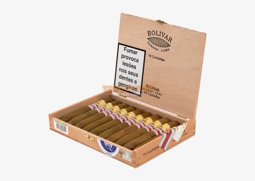 Vegas Robaina Short Robaina Andorra Regional Production - Ammunition, transparent png