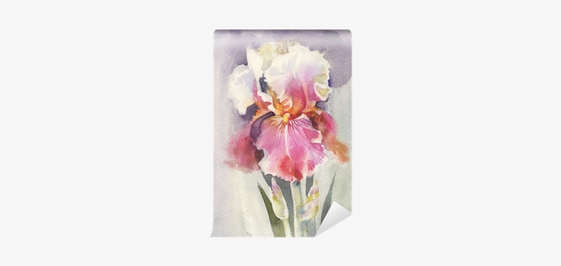 Watercolor Flower Collection - Watercolor Painting, transparent png