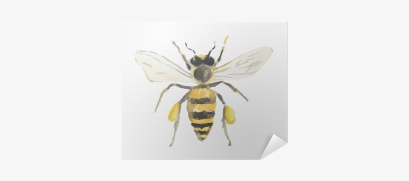 Isolated Watercolor Bee On White Background - Watercolor Painting, transparent png
