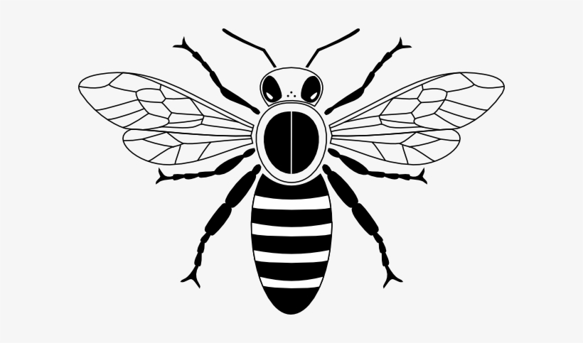 Honey Bee Black And White, transparent png