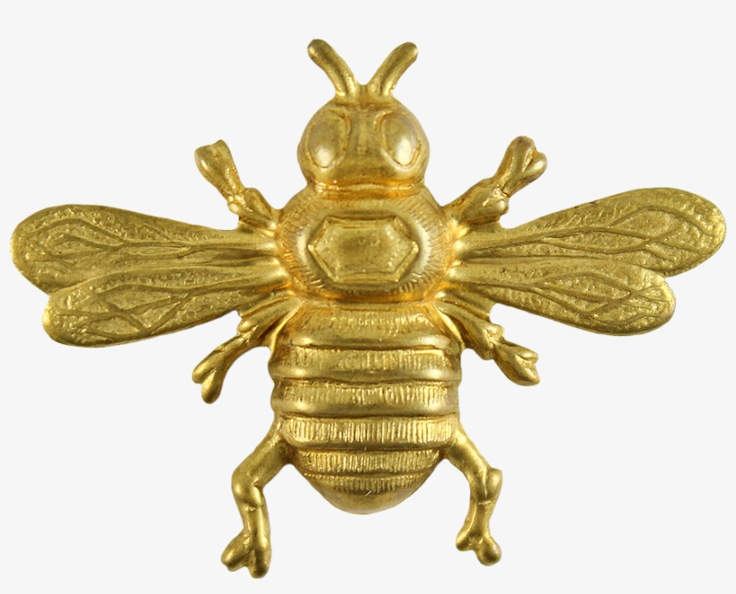 To Download The Png Version Click - Gold Bee Png, transparent png