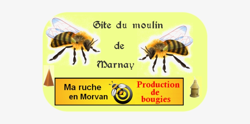 Alternative League For Haitian Progress And Empowerment, transparent png