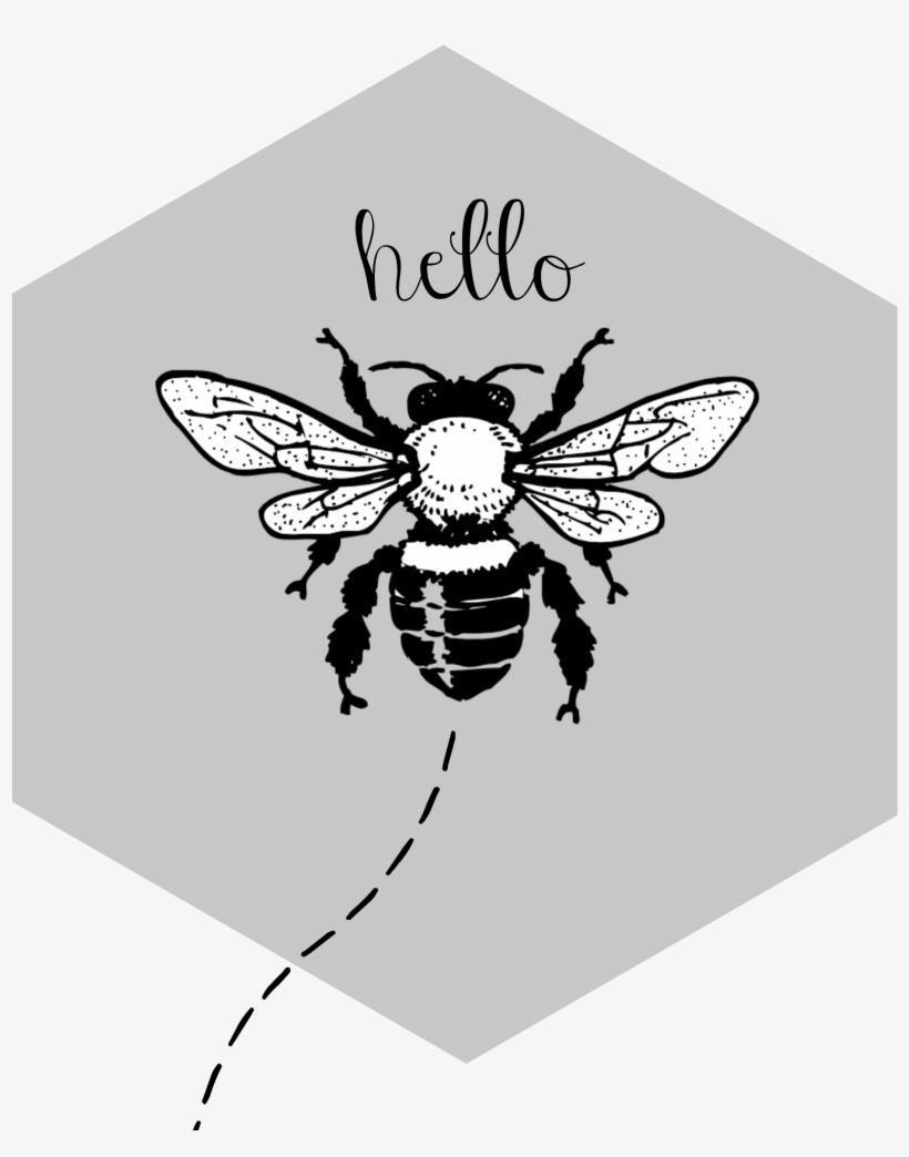 My Interest In Learning More About Something I Fear - Honey Bees Black And White, transparent png