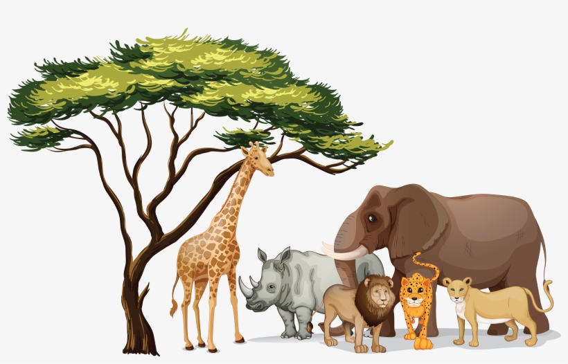 Jungle Theme, transparent png