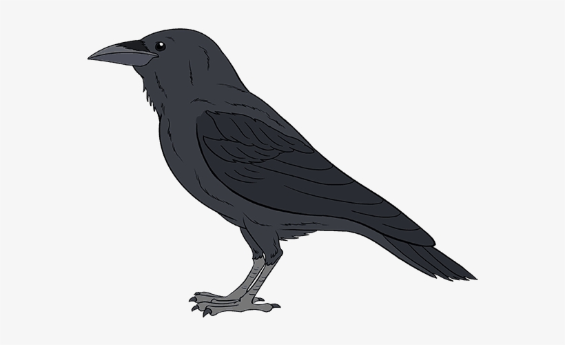 How To Draw A Raven - Raven Easy To Draw, transparent png