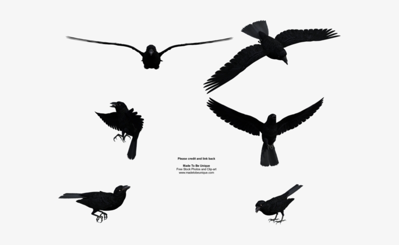 Graphic Library Free Raven Clipart - Flying Crow Png, transparent png