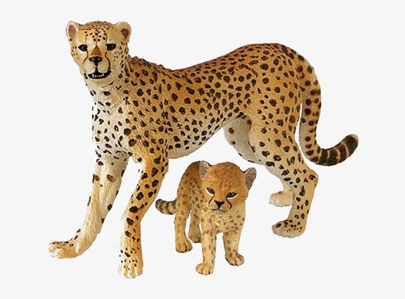 Cheetah Png Free Download - Cheetah .png, transparent png