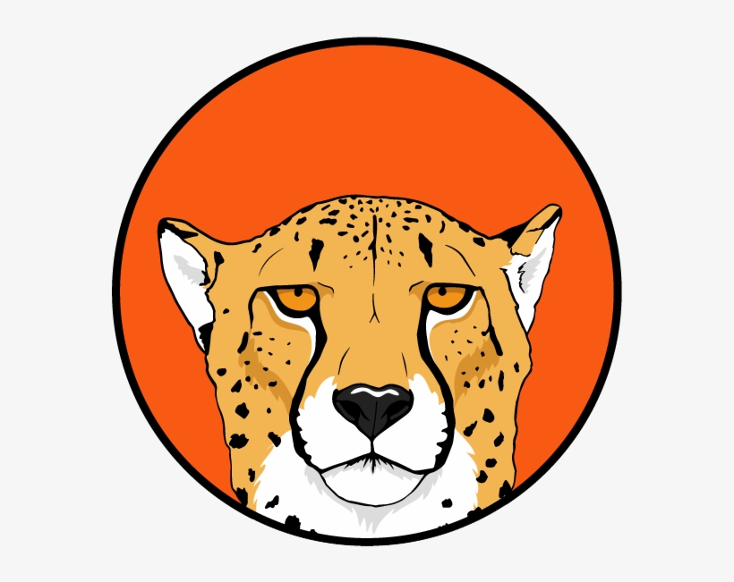 Cheetah, transparent png