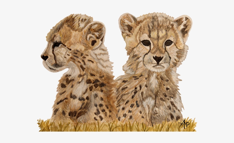 Bleed Area May Not Be Visible - Cheetah, transparent png