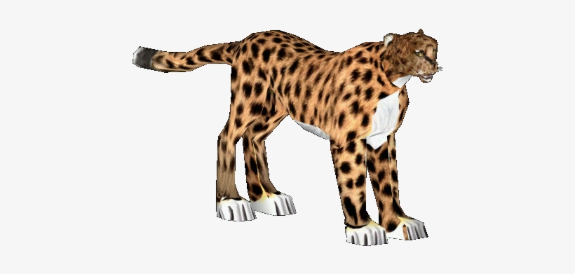 Asiatic Cheetah - Library, transparent png
